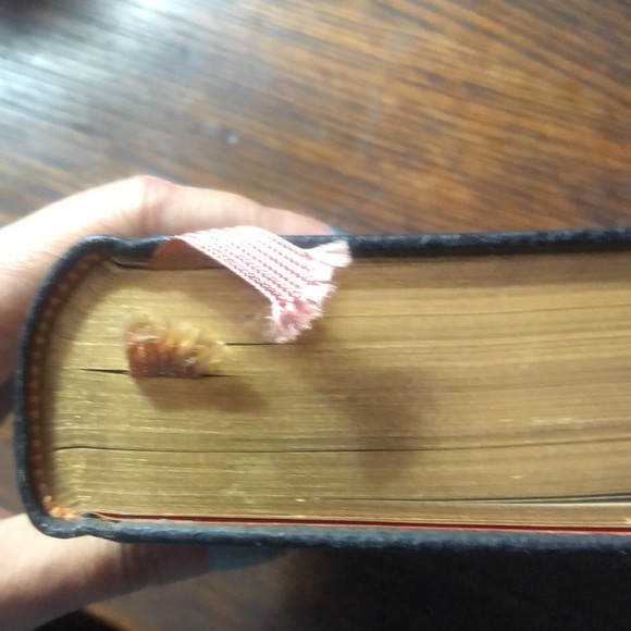 Brand new unused Catholic missal Bible - Picture 4 of 14